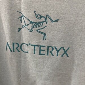 Arc'teryx Light green Tee with Teal Logo